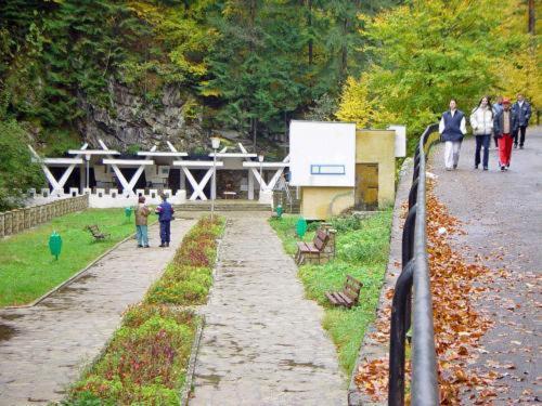 Pension Casa Alba Szlanikfürdő Kültér fotó